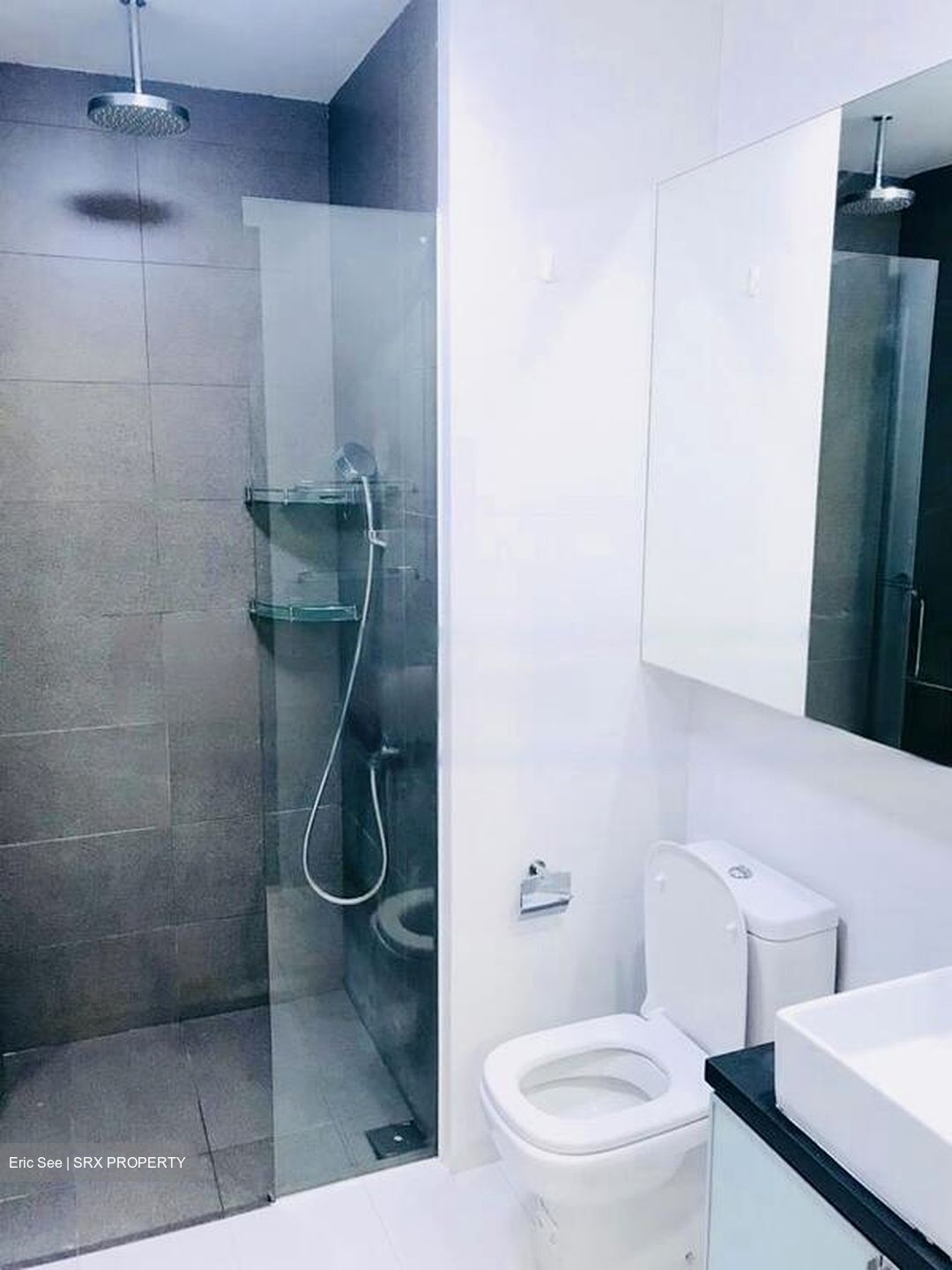 Smart Suites (D14), Apartment #460147841